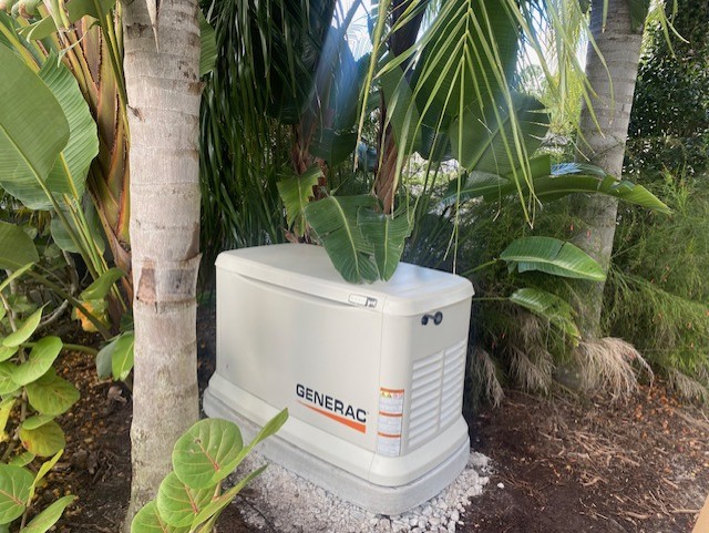 Generac Generator among palm trees